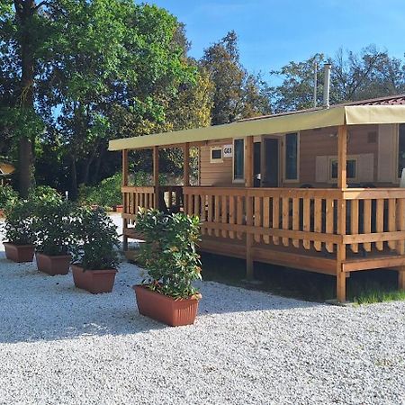 Mobile Home Viareggio - Including Airco- Camping Paradiso - G008 外观 照片