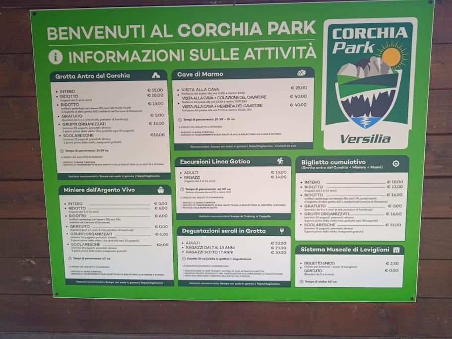 Mobile Home Viareggio - Including Airco- Camping Paradiso - G008 外观 照片