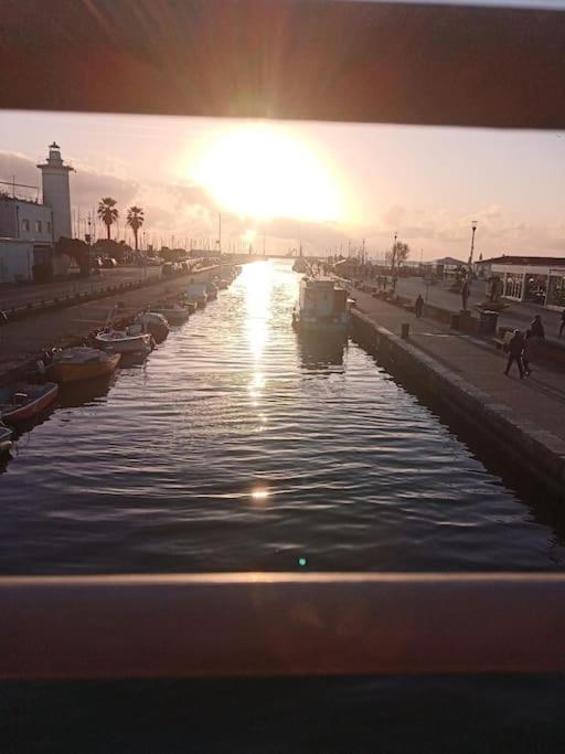 Mobile Home Viareggio - Including Airco- Camping Paradiso - G008 外观 照片