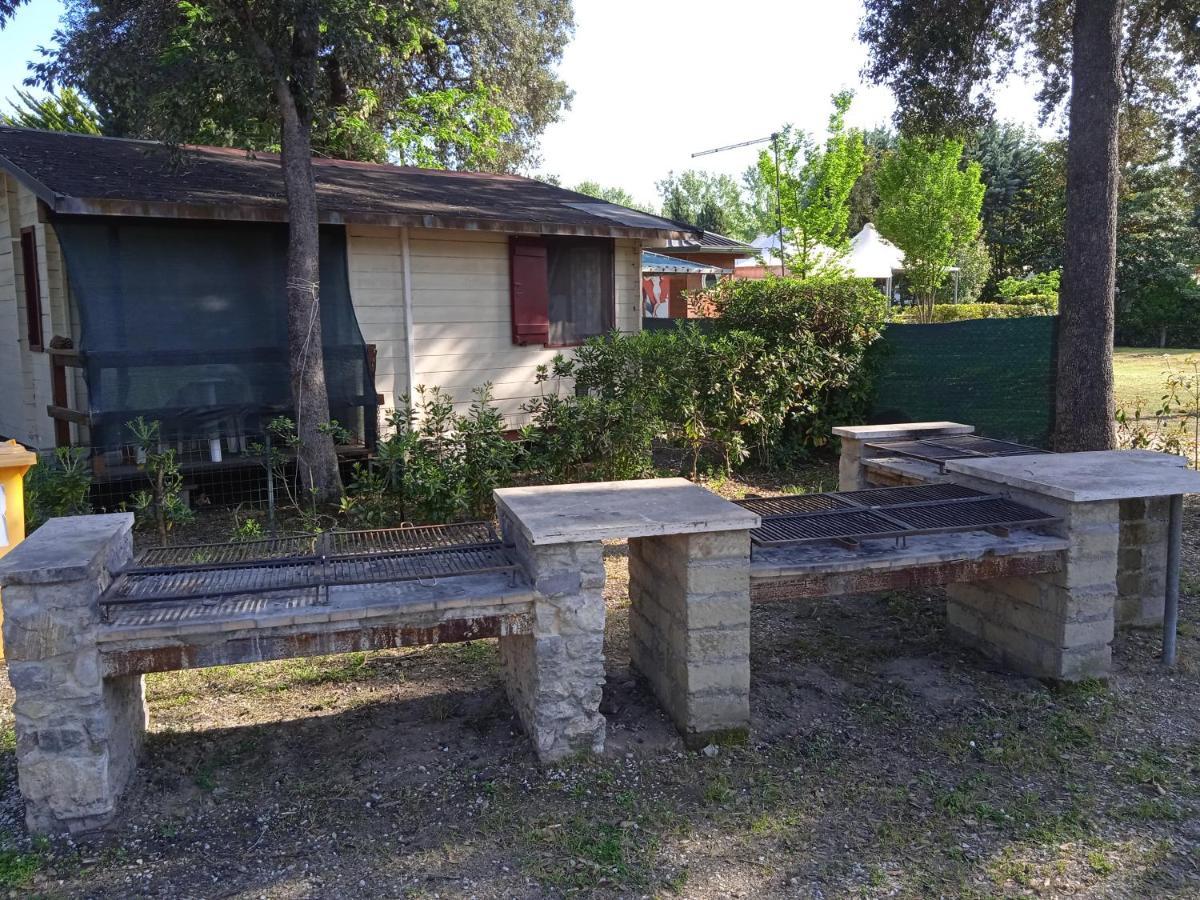 Mobile Home Viareggio - Including Airco- Camping Paradiso - G008 外观 照片